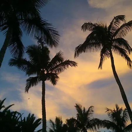 Auremar Апартаменты