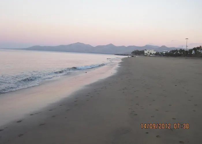 Auremar 푸에르토 델 카르멘